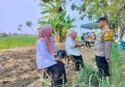Bhabinkamtibmas-Desa-Semambung-Koordinasi-dengan-Perangkat-Desa-Dukung-Ketahanan-Pangan