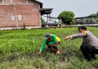 Kanit-Binmas-Polsek-Prambon-Tinjau-Lahan-Pekarangan-Bergizi-di-Desa-Pejangkungan
