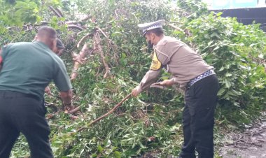 Gotong-Royong-Evakuasi-Pohon-Tumbang-di-Jalan-Raya-Jabaran-Balongbendo