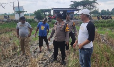 Polsek-Balongbendo-Meninjau-Lahan-Pertanian-Guna-Ketahanan-Pangan
