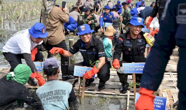 Lestarikan-Lingkungan,-Ditpolairud-Polda-Jatim-Tanam-Belasan-Ribu-Bibit-Mangrove-di-Gresik