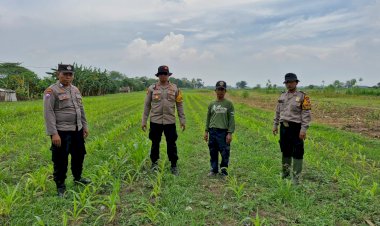 Siapkan-Pekarangan-Pangan-Bergizi-di-Bakungtemenggungan-Balongbendo