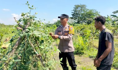 Bhabinkamtibmas-Sambibulu-Polsek-Taman-Bersama-Warga-Tinjau-Lahan-Hortikultura-Ketahanan-Pangan