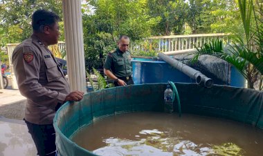 Sinergi-TNI-Polri-Tinjau-Lokasi-Budidaya-Ikan-Lele-untuk-Program-Ketahanan-Pangan-di-Desa-Wedi-Gedangan