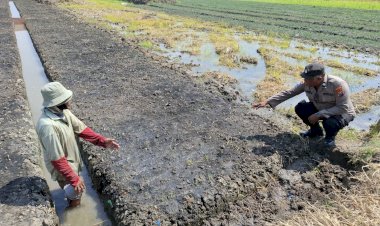 Pantau-Lahan-Sayuran,-Polsek-Tulangan-Dukung-Ketahanan-Pangan-Warga