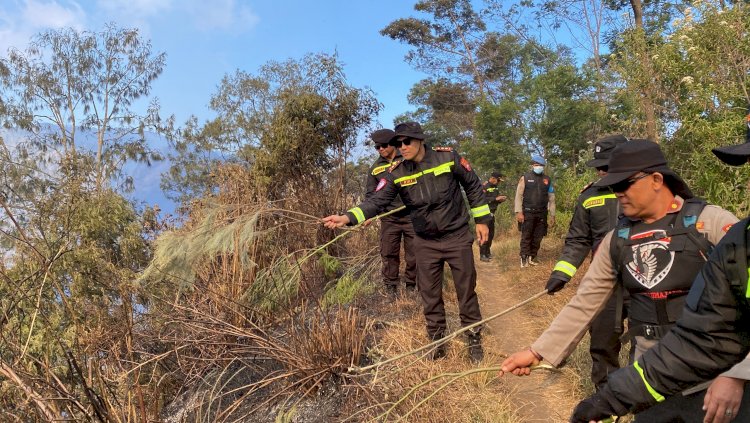 Polres Lumajang Buat Fire Break Darurat Antisipasi Karhutla TNBTS Meluas